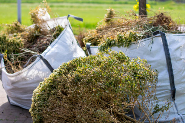 Best Basement Cleanout Services  in Naugatuck, CT